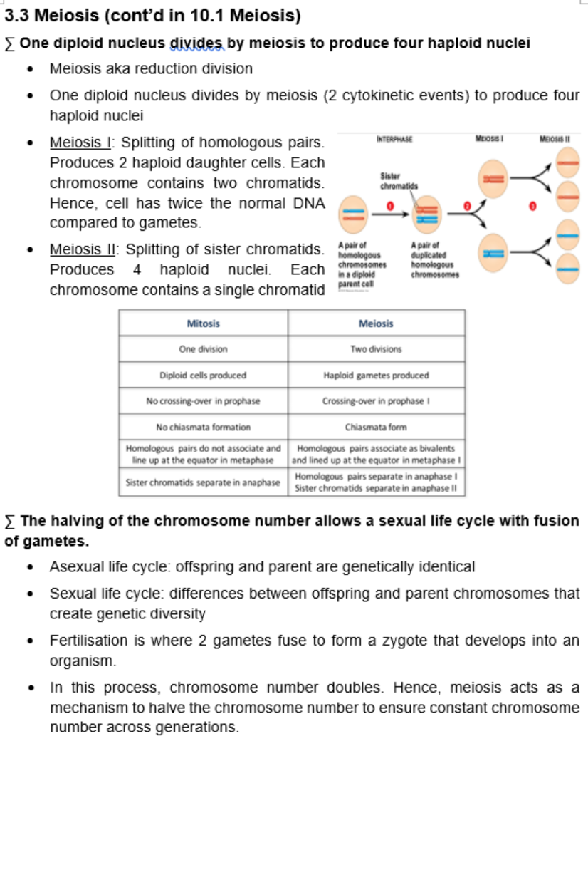 Biology HL Notes (Complete Syllabus Notes) – Perfect Scorer Notes